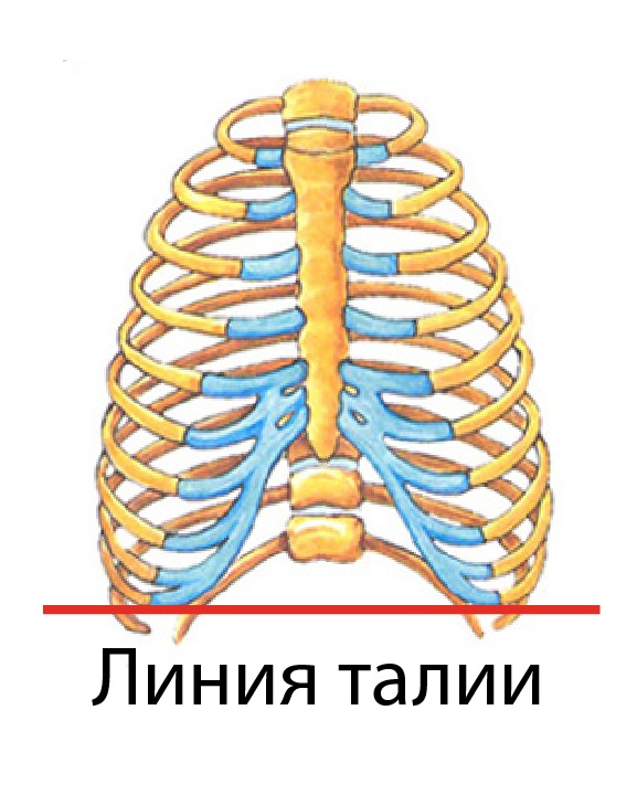 ПОРТНОЙ ОШИБАЕТСЯ ЛИШЬ ОДИН РАЗ